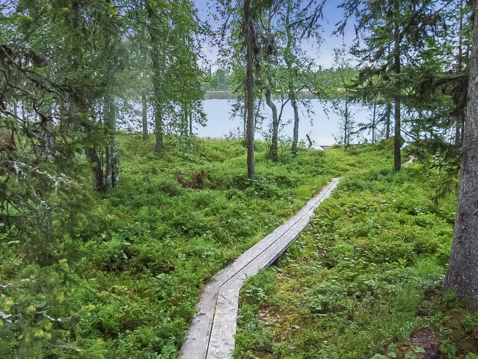 Seitsemän savua 6-Binnen