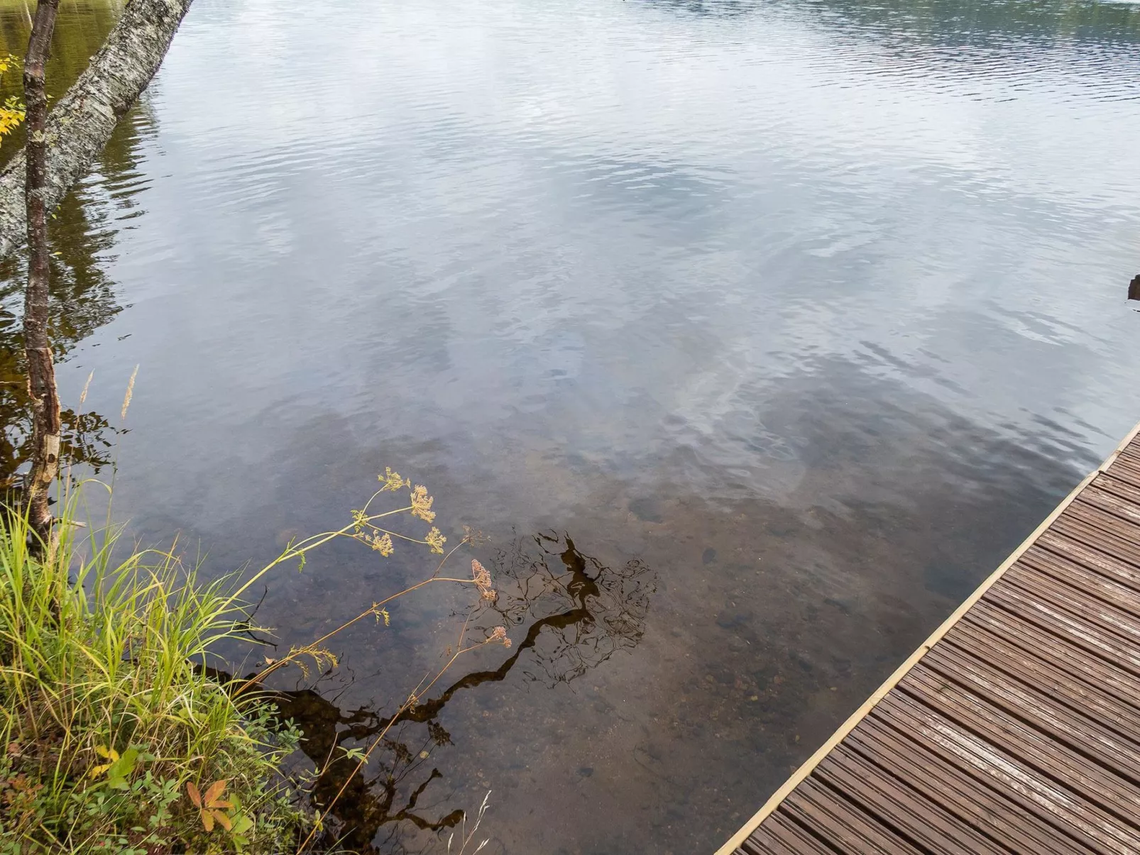 Rukatörmä, kesäjärvi-Binnen