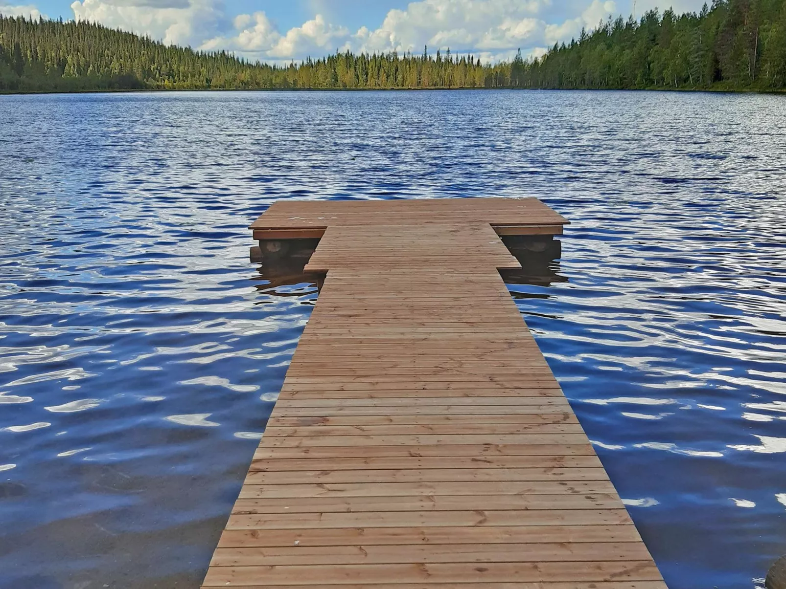 Mustalampi 2 kurkiaura-Binnen