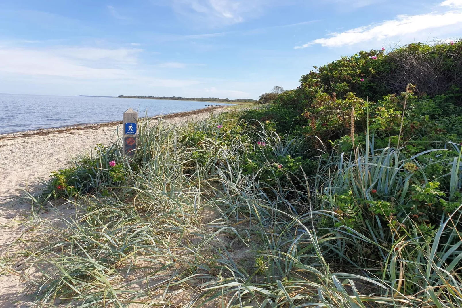 5 sterren vakantie huis in Bogense-Niet-getagd