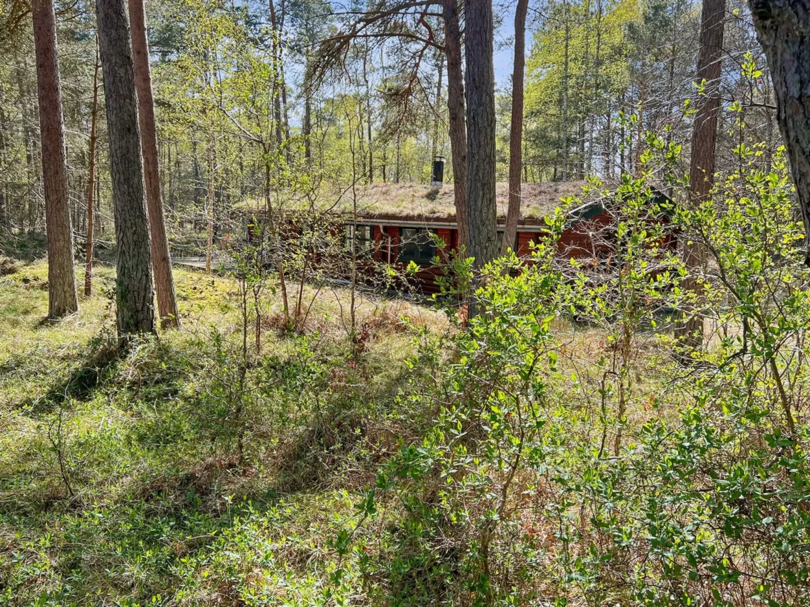 "Bera" - 160m from the sea-Buiten