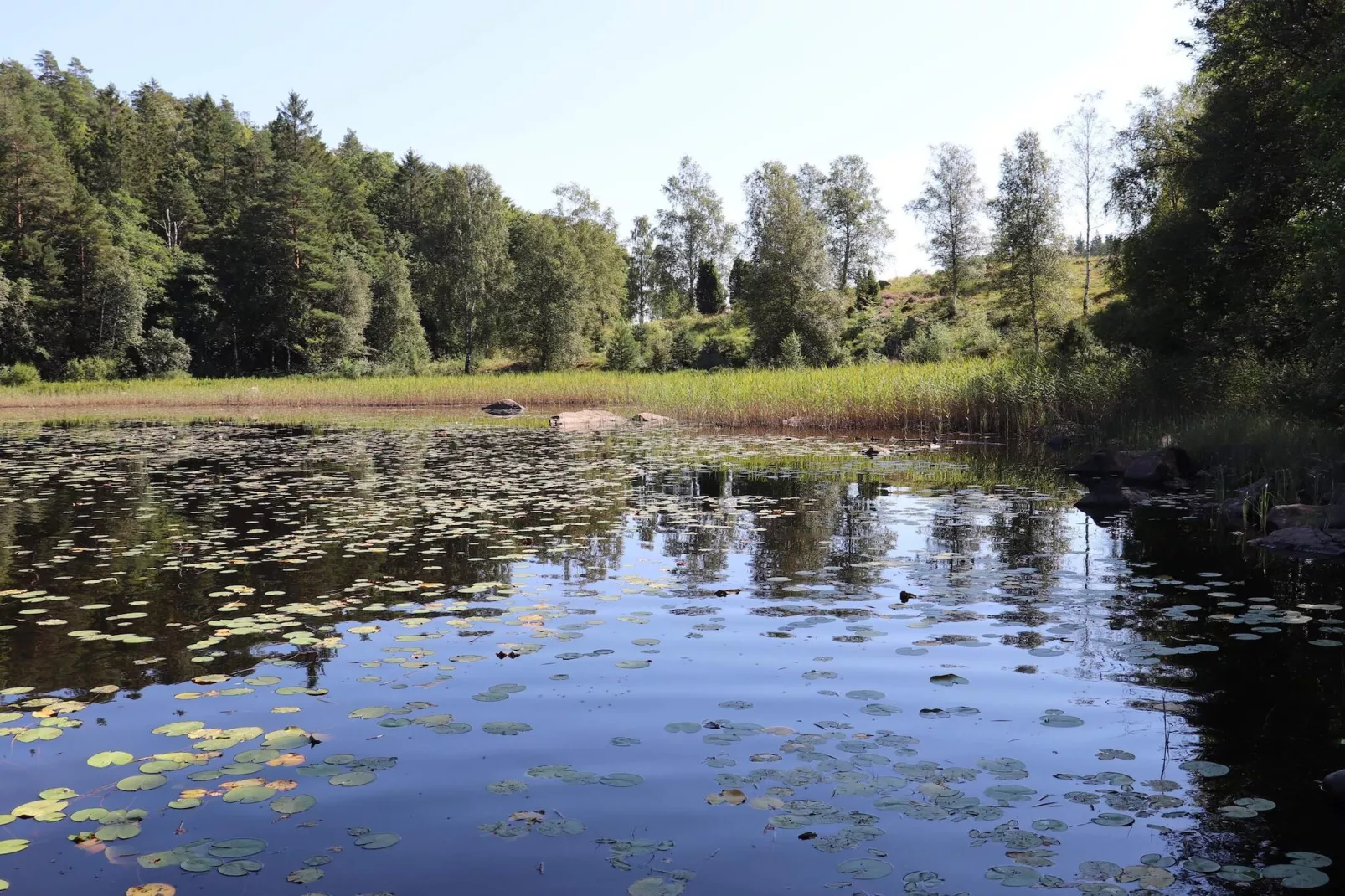 4 Personen vakantie huis in TORUP-Niet-getagd