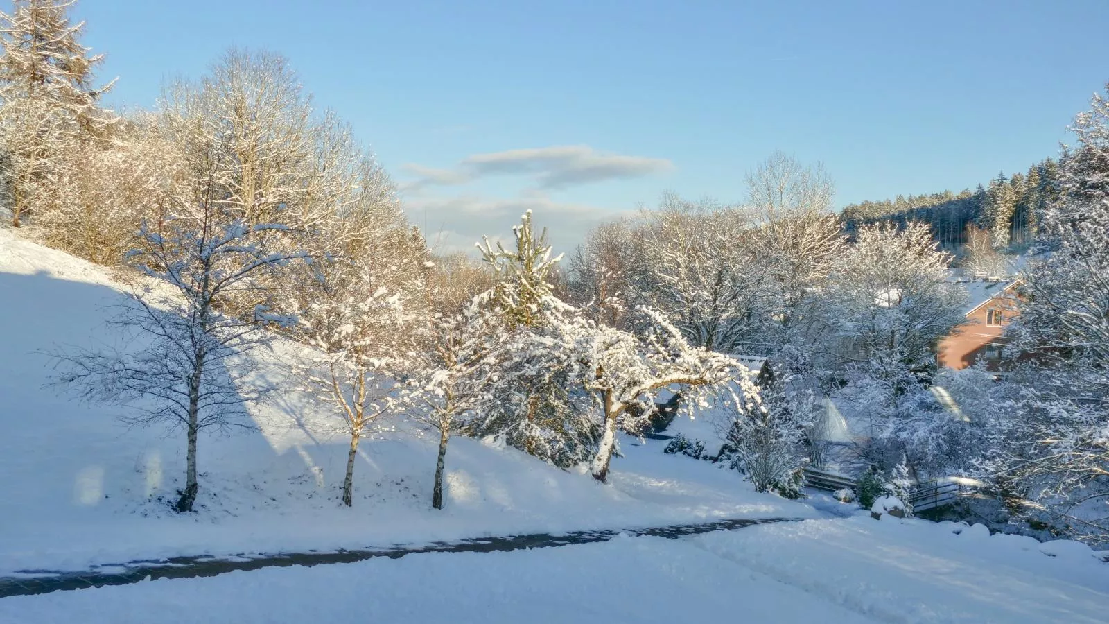 Alte Muehle-Uitzicht winter