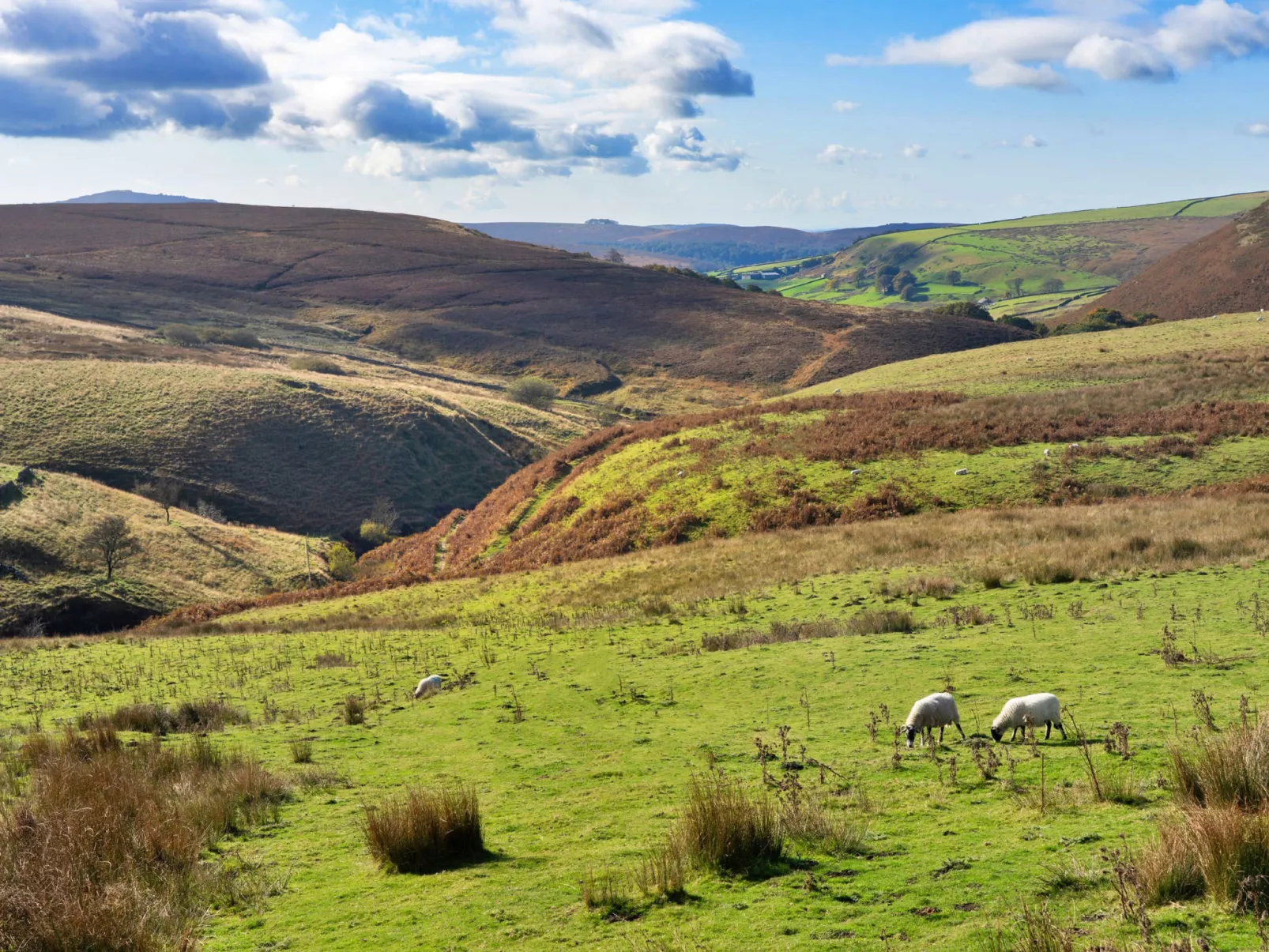 The Cottages Collection at Blackclough Farm-Buiten