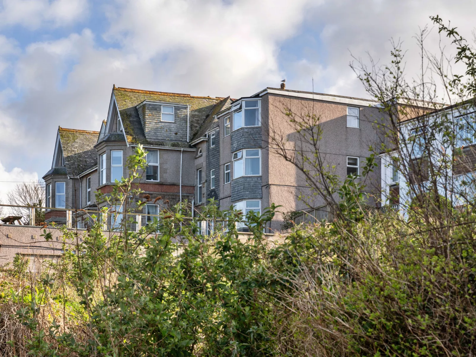 No. 5 Harlequin-Buiten