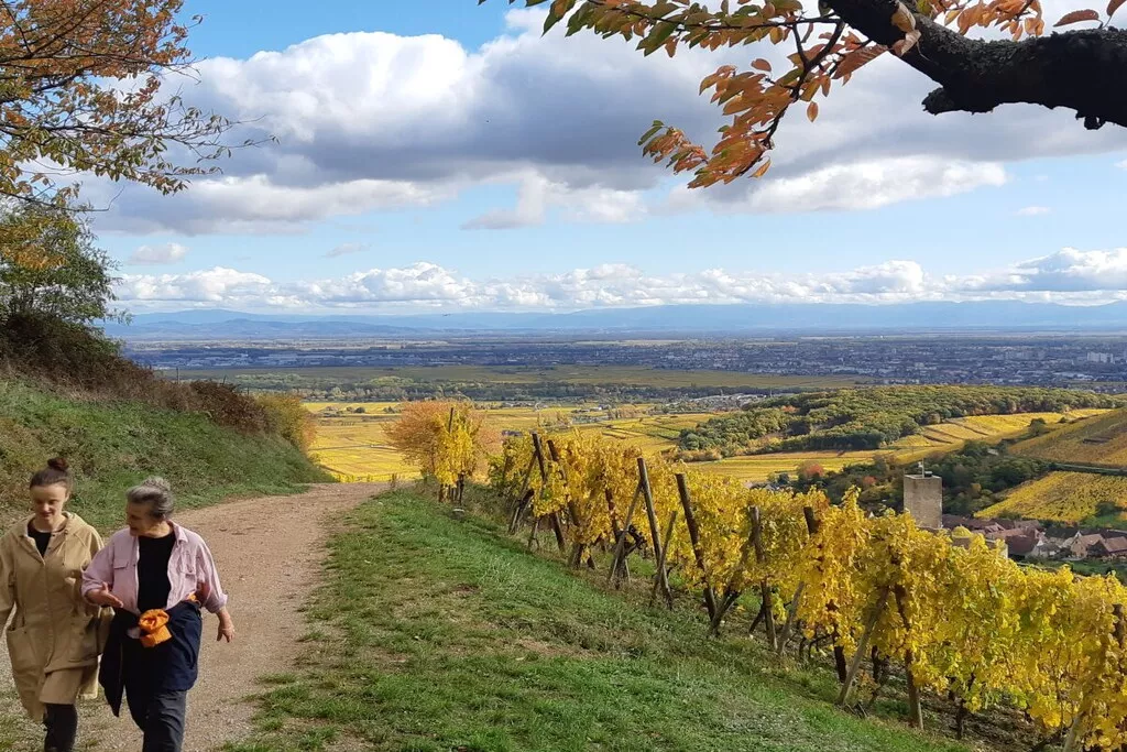 479485 - Niet-getagd