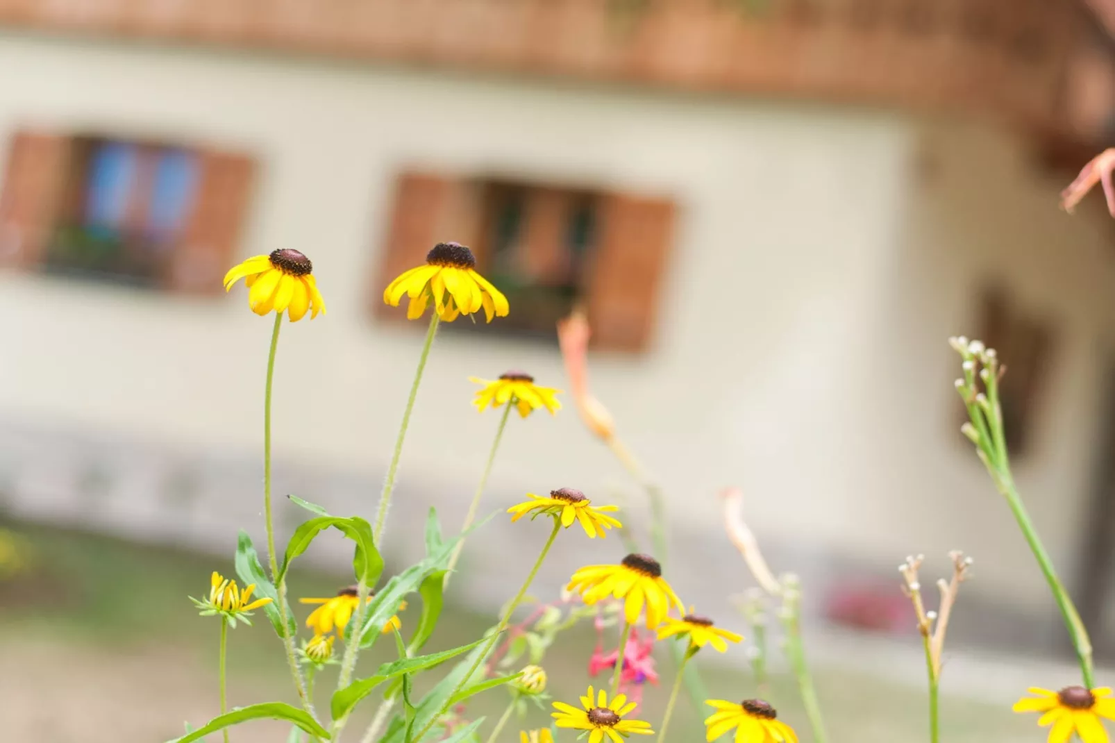 Sunny Two Bedroom Retreat in Beautiful Bizeljsko - Two Bedroom Country House-Buitenlucht