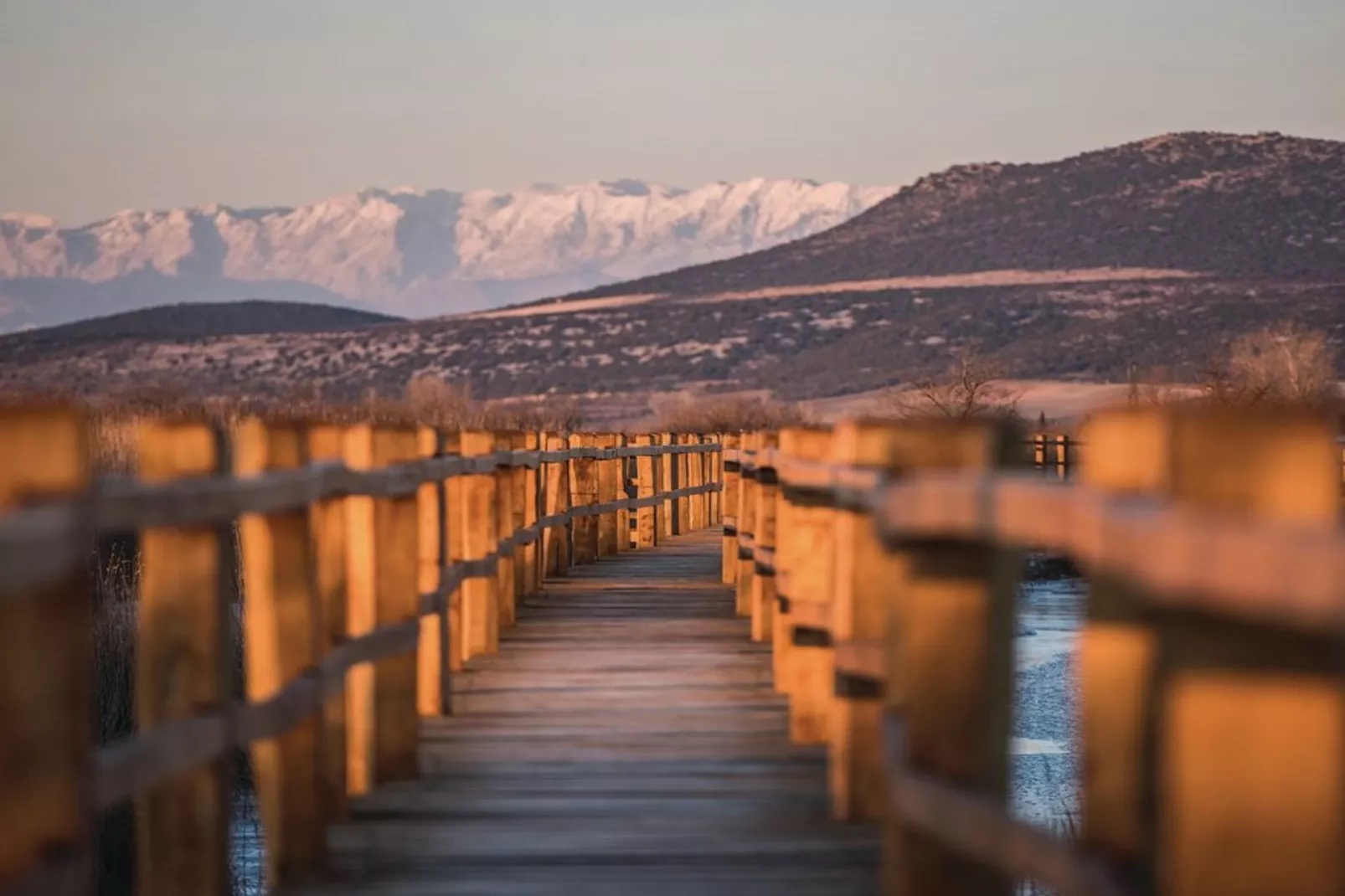 Holiday Home Pigmy Cormoran - One Bedroom House with Terrace  and Pool-Uitzicht