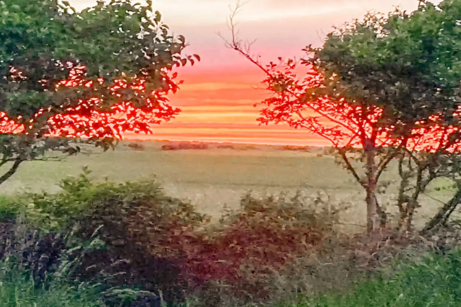 5 sterren vakantie huis in Nakskov-Uitzicht