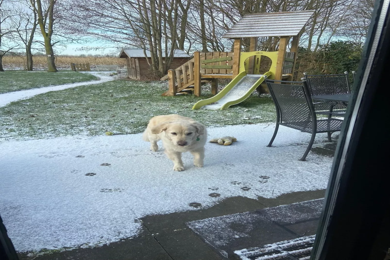 6 - Person Forest Pet & Family Bungalow-Gebied winter 5km