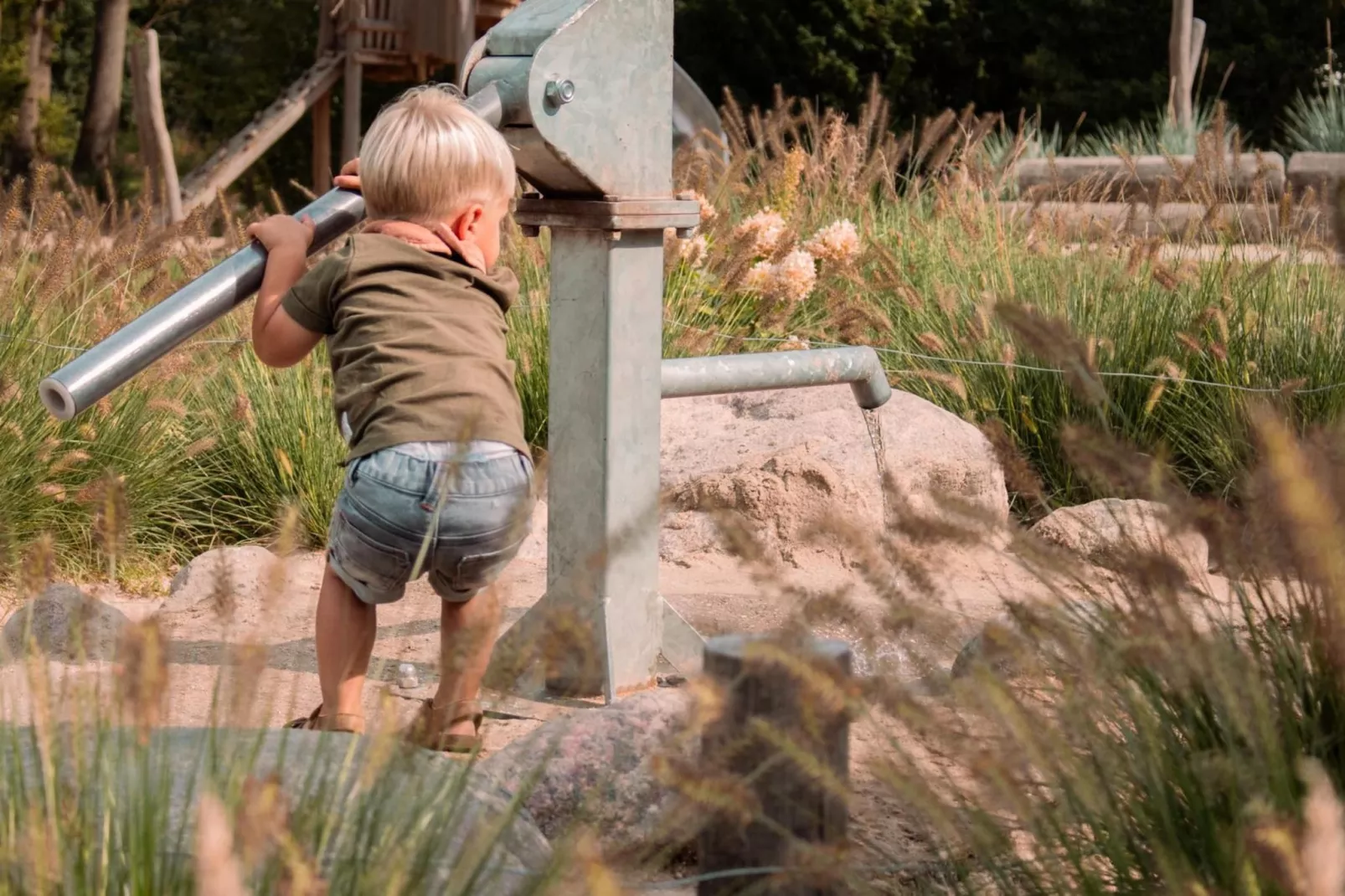 Reestdal lodge | 6 persoons - Parkfaciliteiten