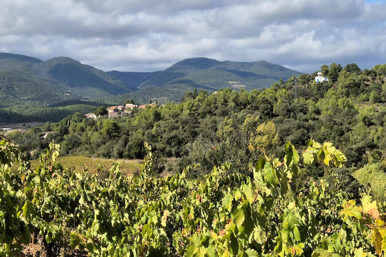La Garrigue-Gebieden zomer 5km