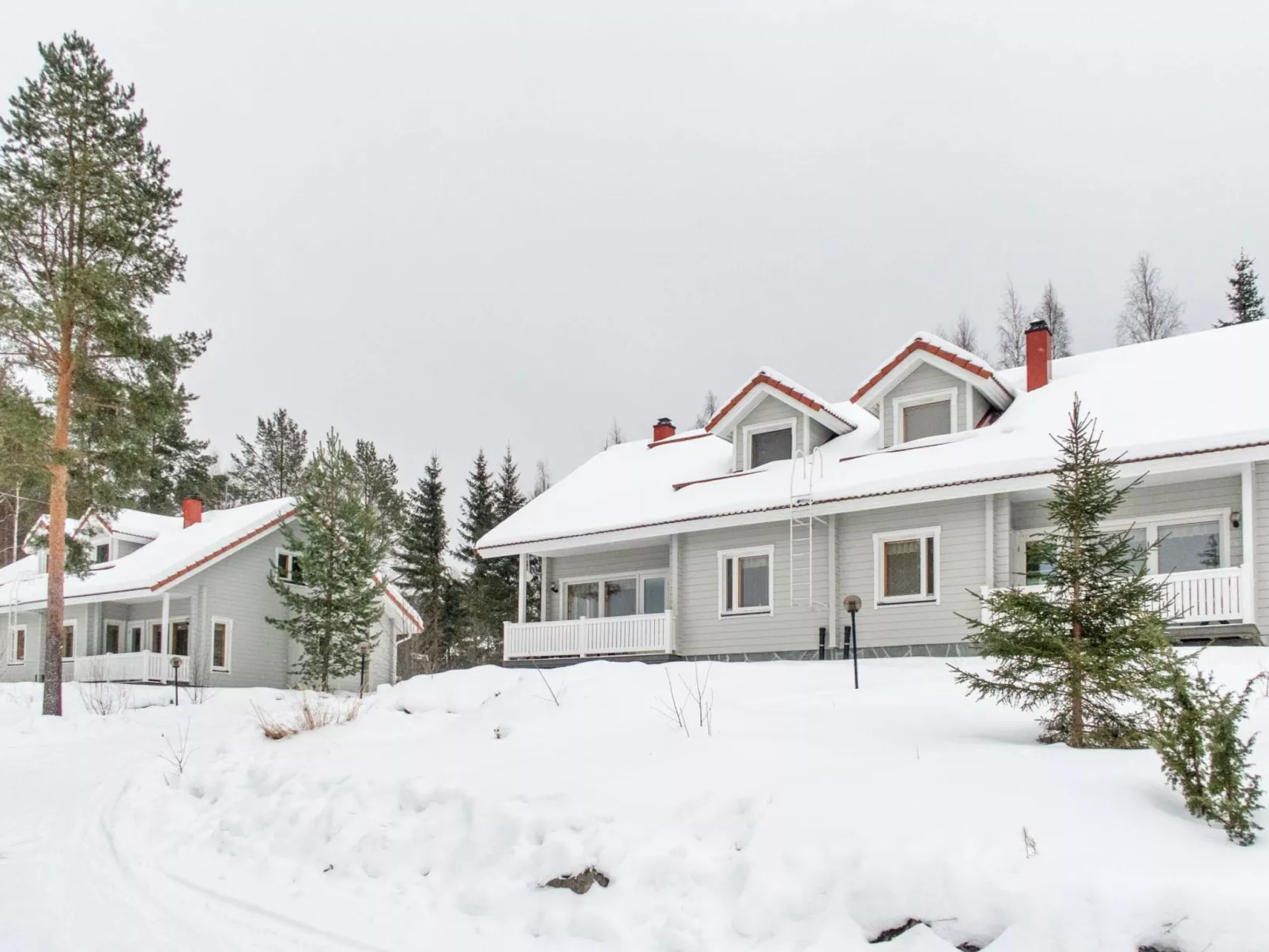 Vuokatti villas ilves-Binnen