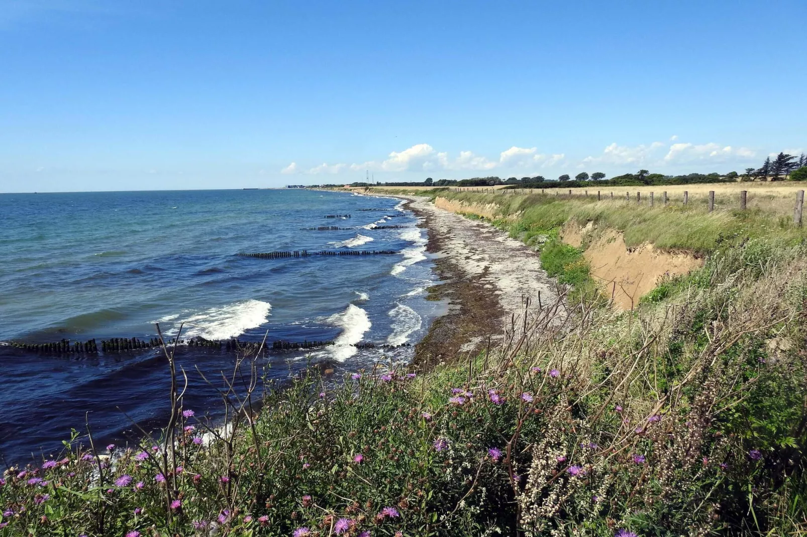 4 persoons vakantie huis in Gedser-Waterzicht