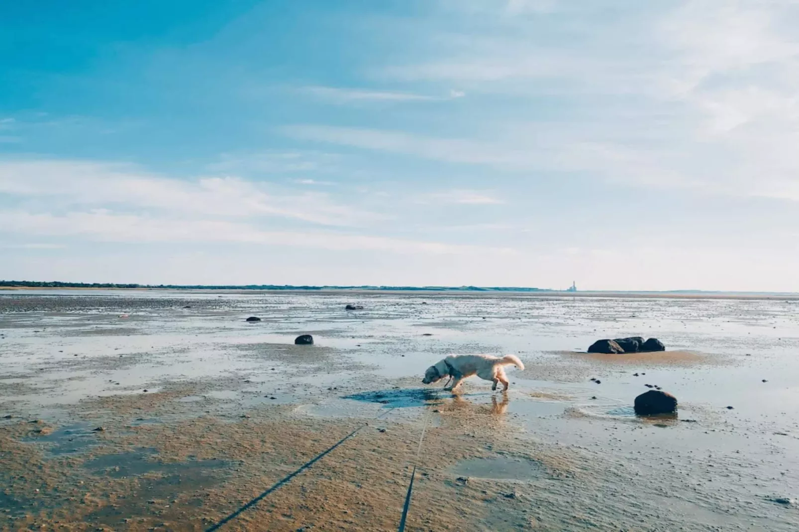 Luxe retraite met zwembad -- By Traum Ferienwohnungen-Waterzicht