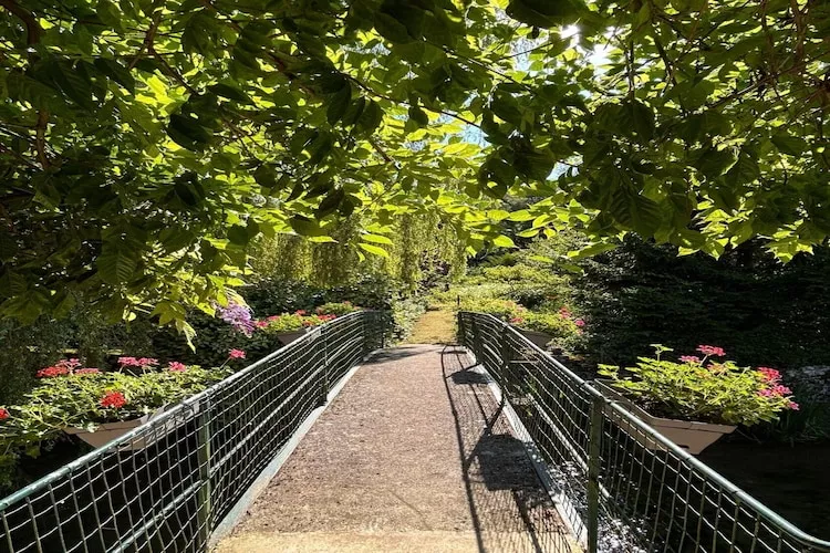 Bligny-sur-Ouche-Gebieden zomer 1km