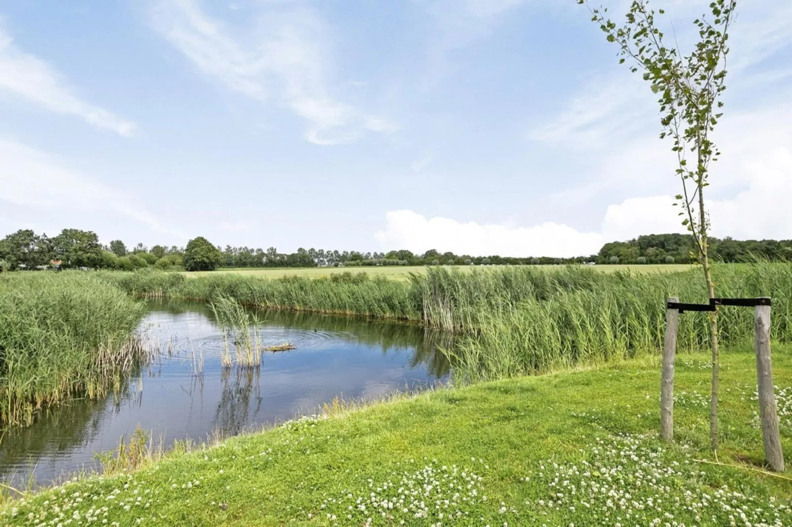 De Ooievaar Huis Nr 47-Uitzicht zomer