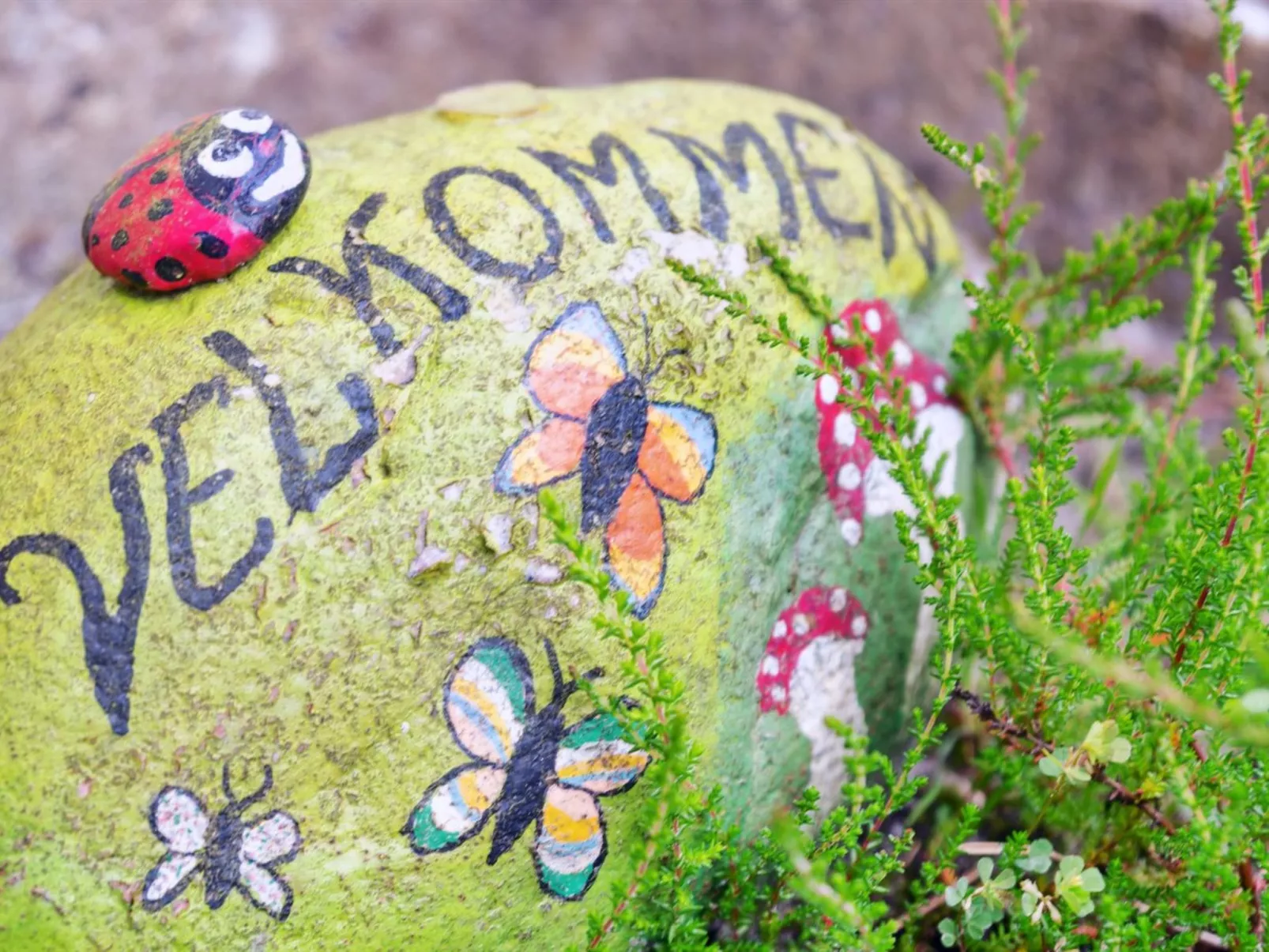 "Sigwid" - 2.7km from the sea-Binnen