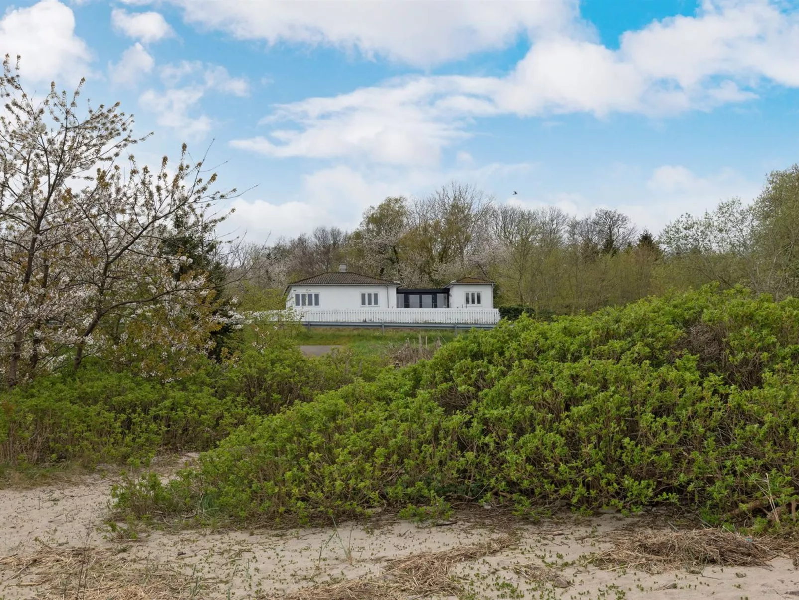 "Ensio" - 150m from the sea-Buiten