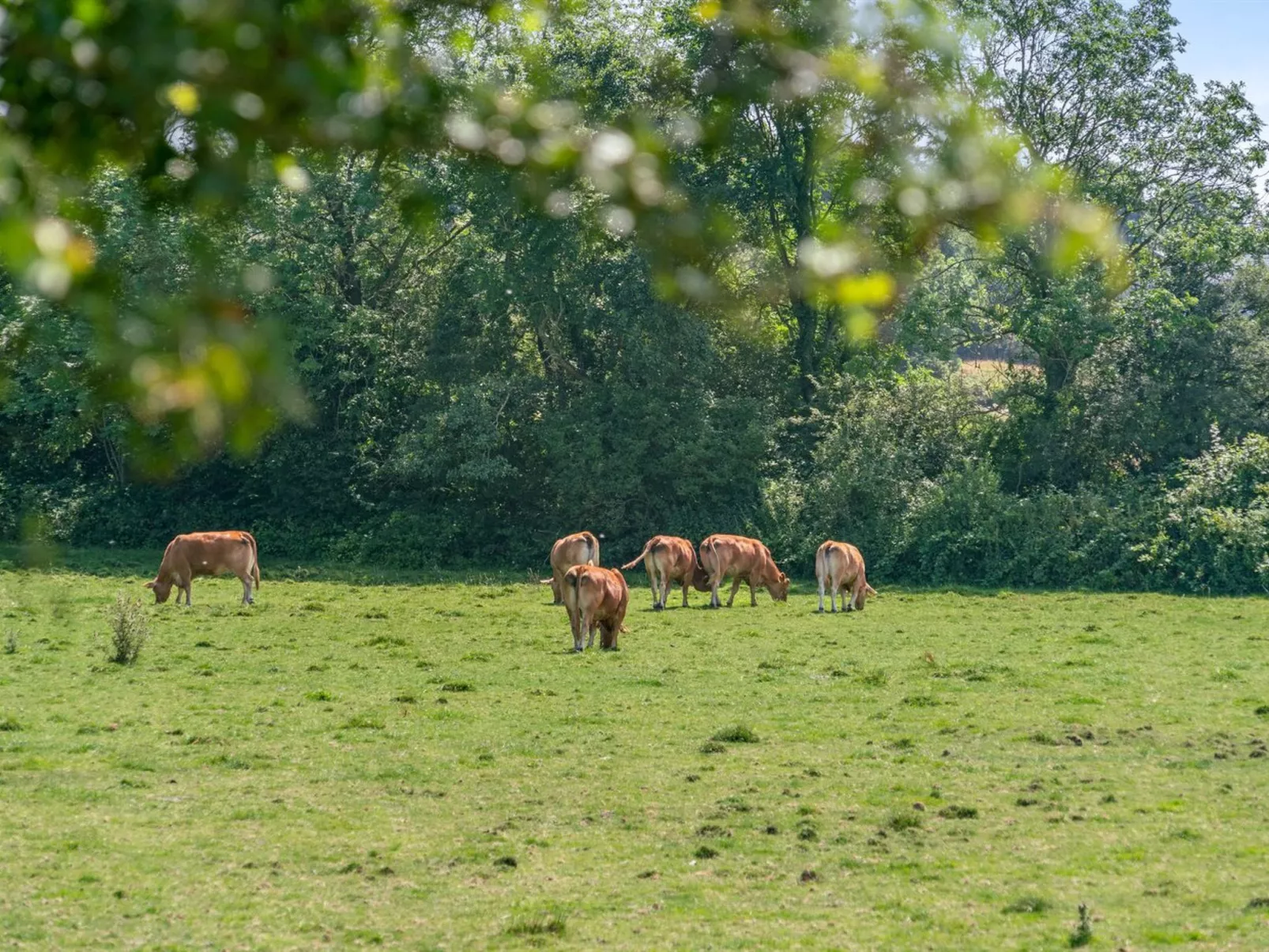 "Jeppe" - 50m to the fjord-Buiten