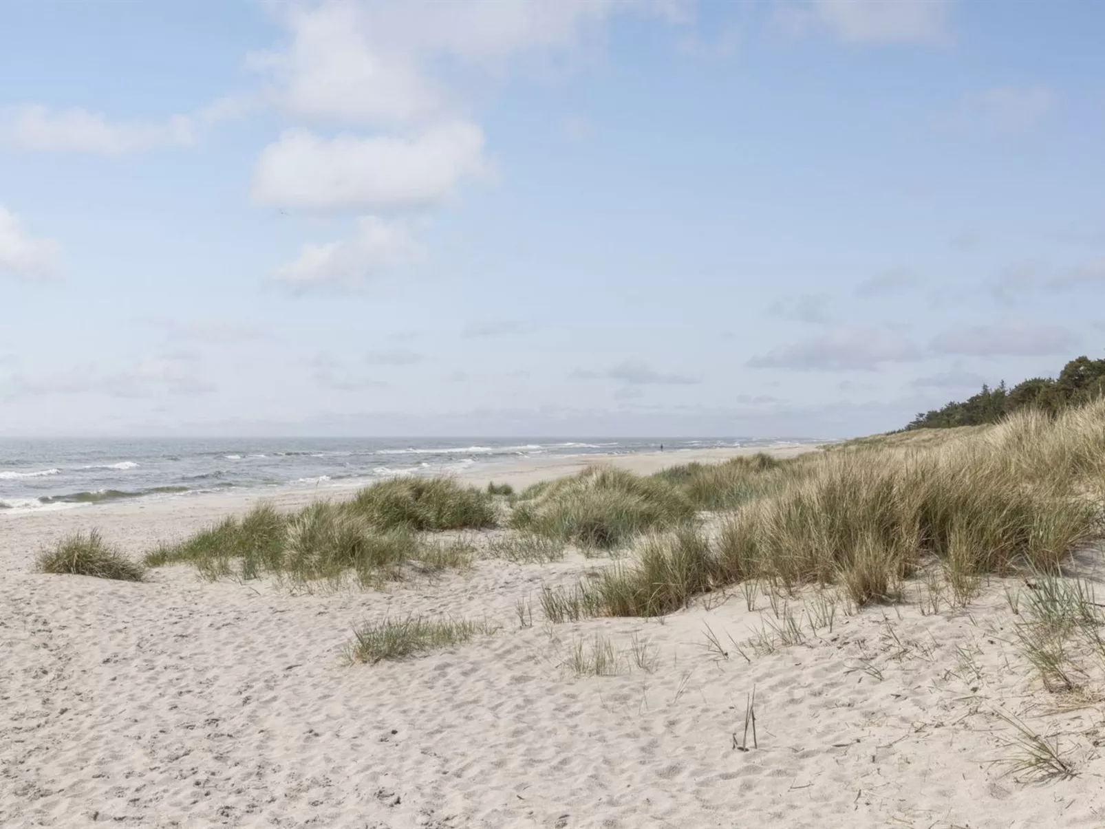 "Friis" - 200m from the sea-Buiten