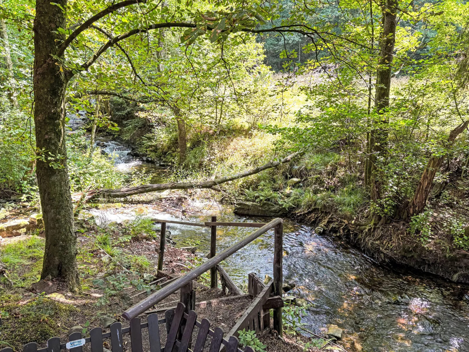 Altes Forsthaus Sösetal-Buiten
