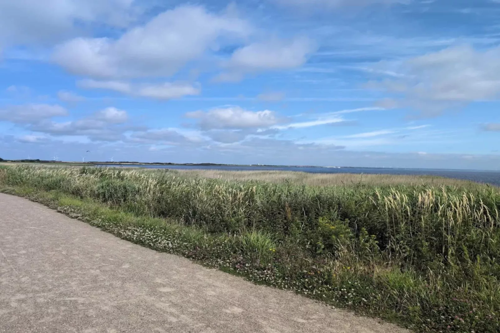 4 persoons vakantie huis in Ringkøbing-By Traum-Waterzicht