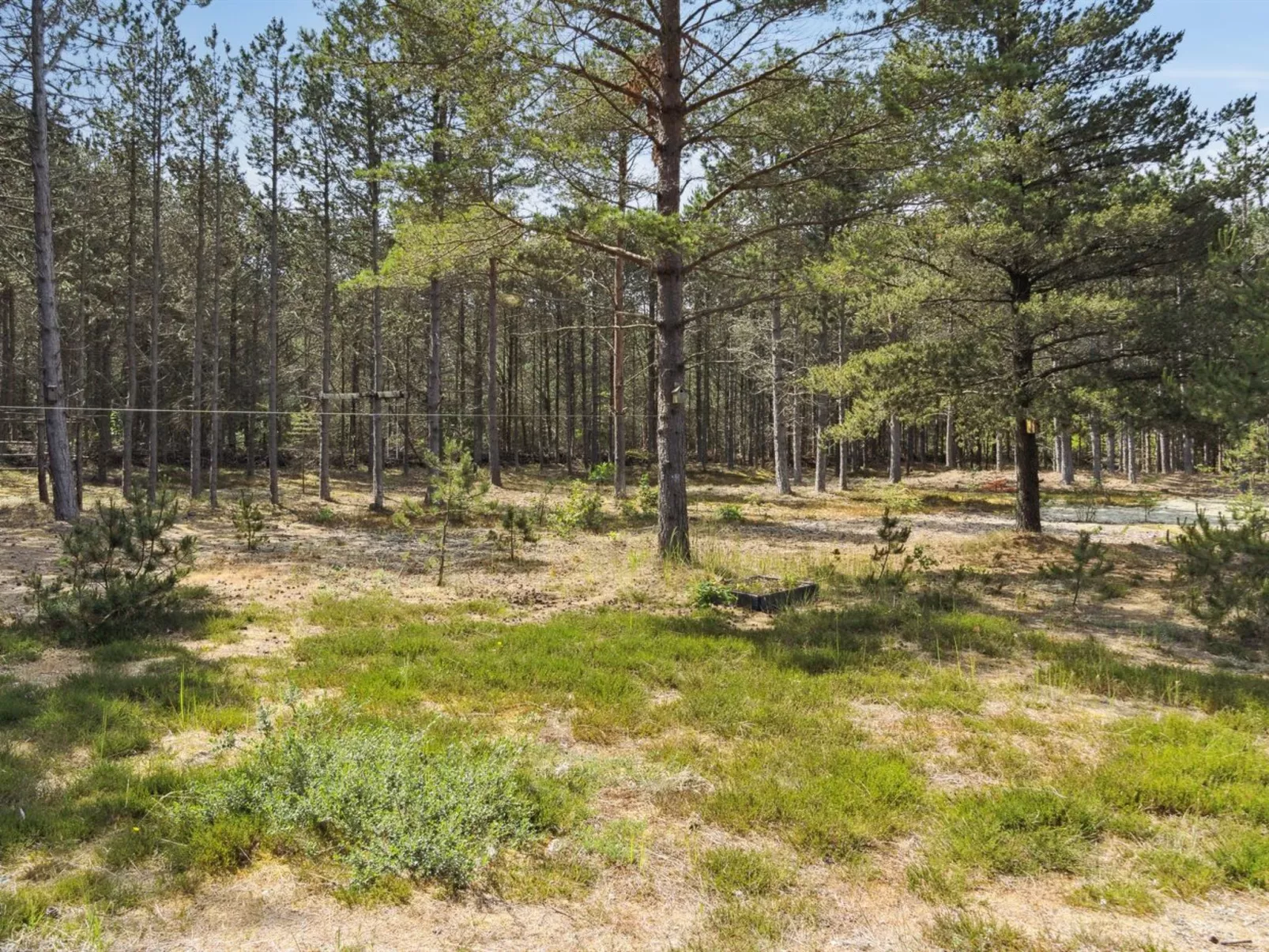 "Andy" - 600m from the sea-Buiten