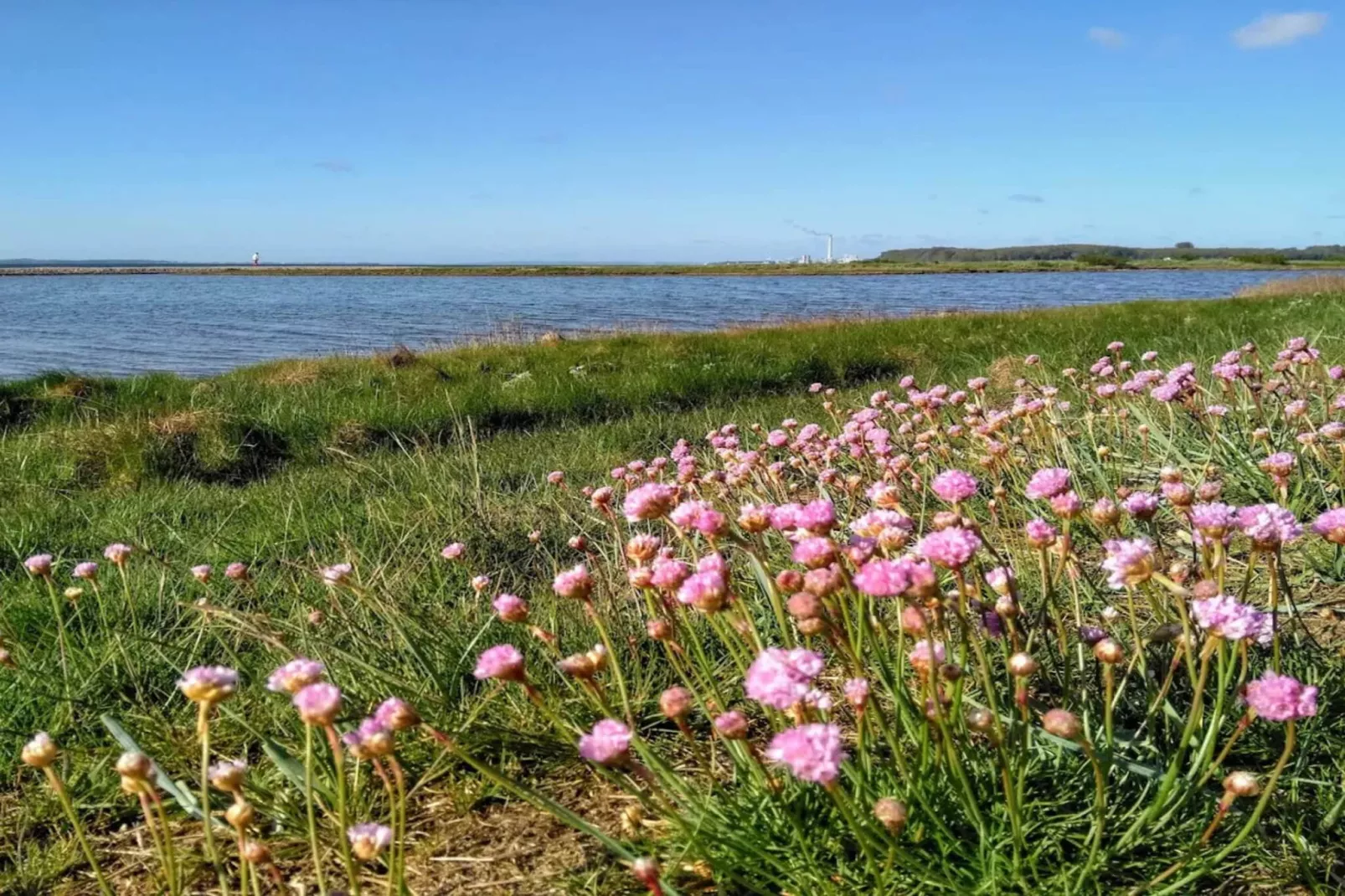 4 sterren vakantie huis in Rønde-By Traum-Waterzicht