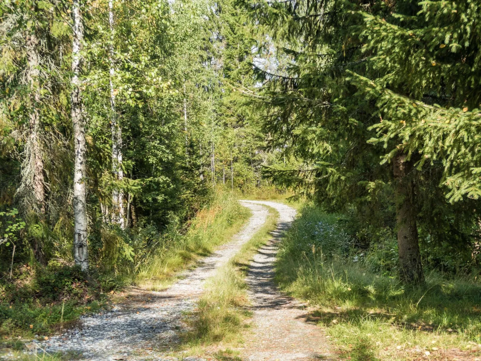 Huotarin mökki-Binnen