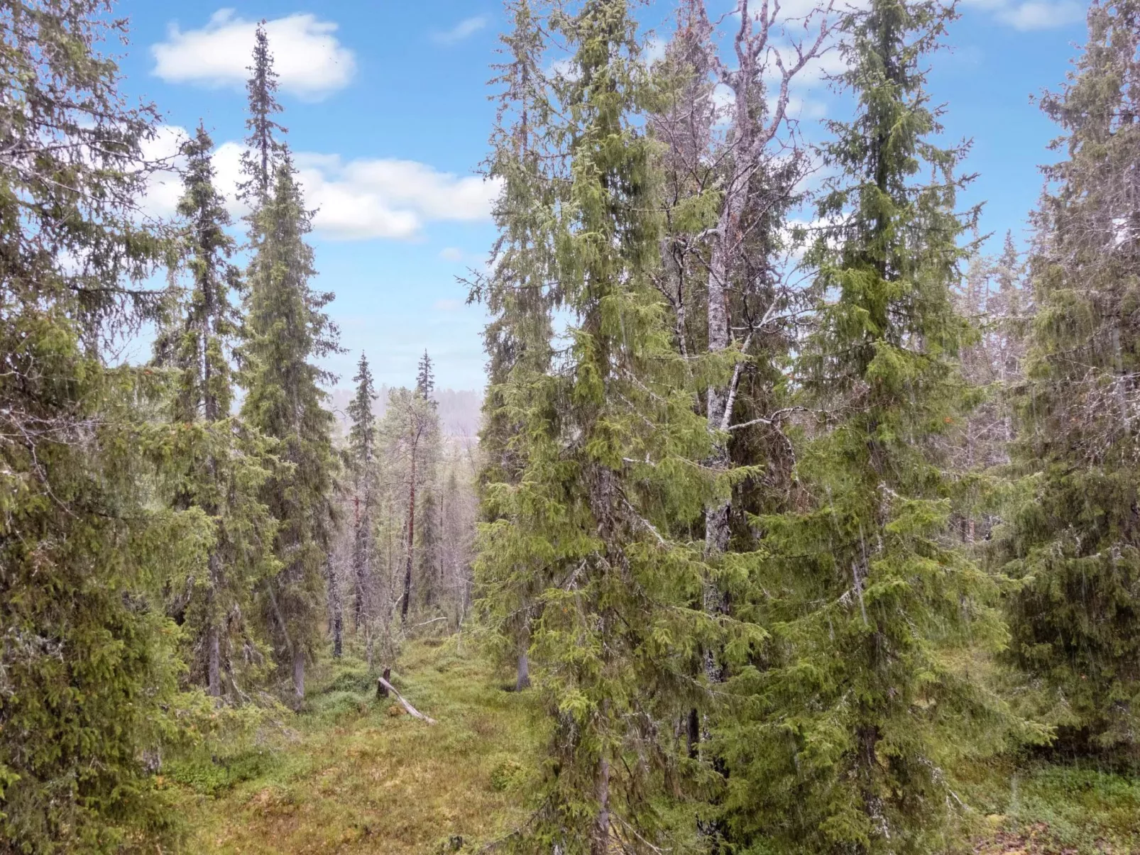 Sallan lumous b-Binnen