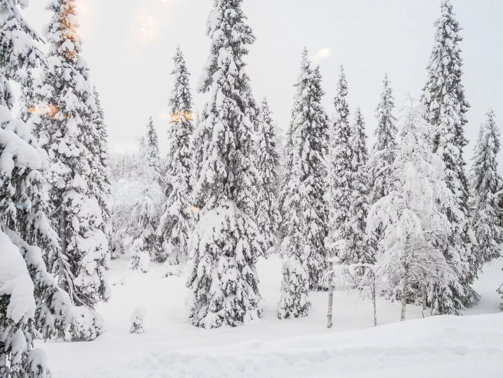 Rukan lepolinna a-Binnen