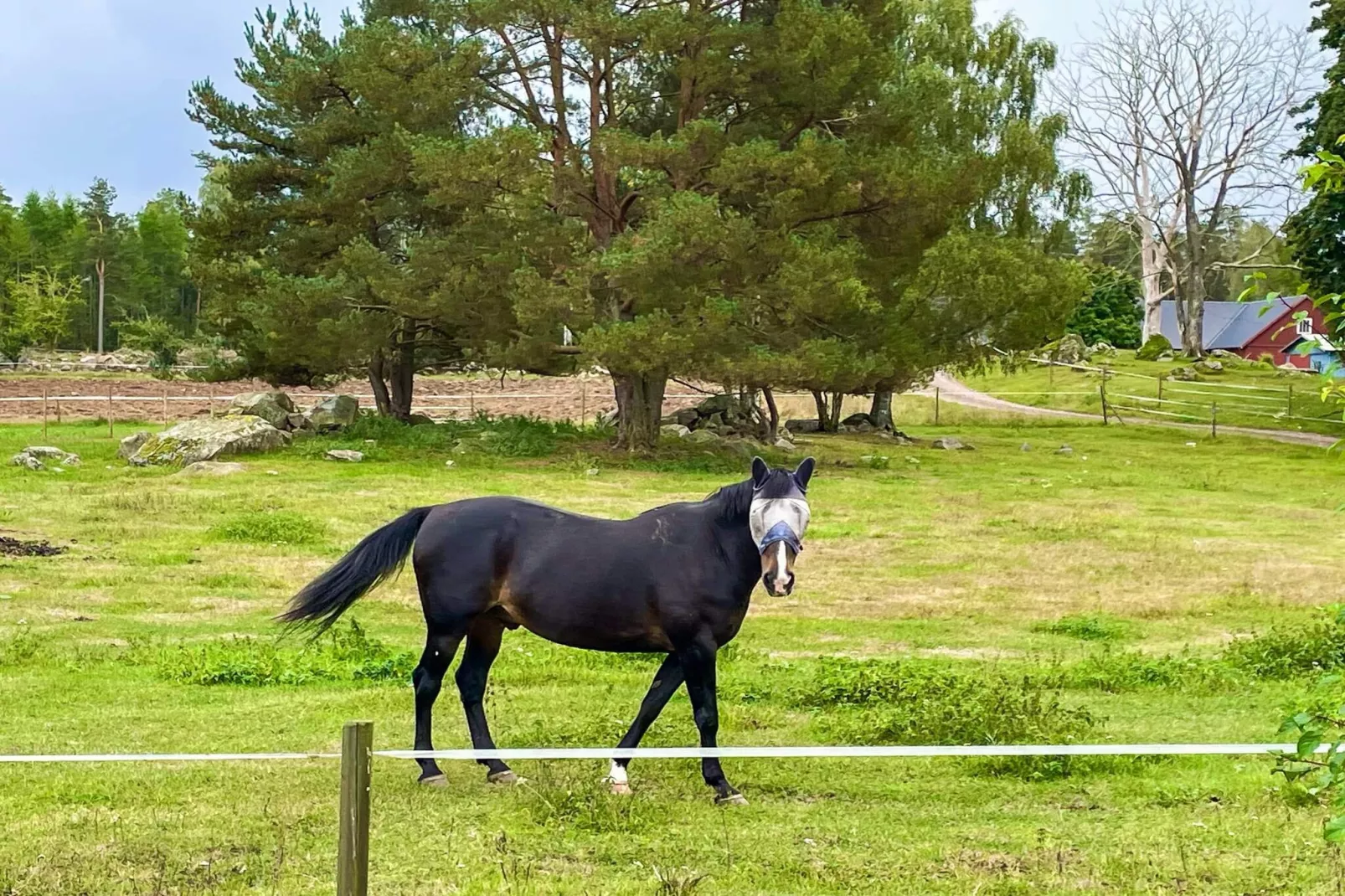 Natuurretraite op de boerderij in Berga-Niet-getagd