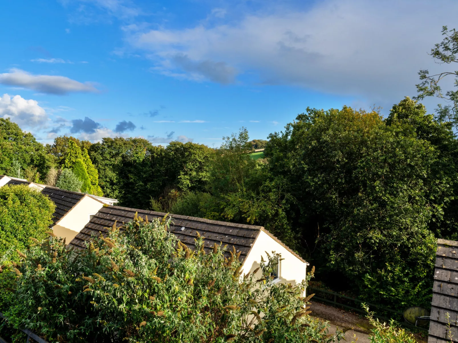 Forest Park Lodge-Buiten
