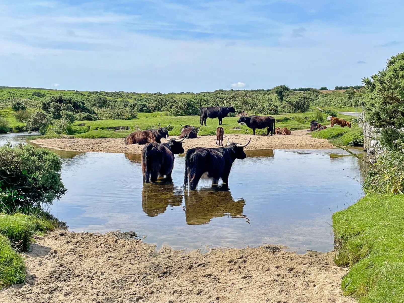 Stable Barn Apartment at Bodmin Moor-Buiten