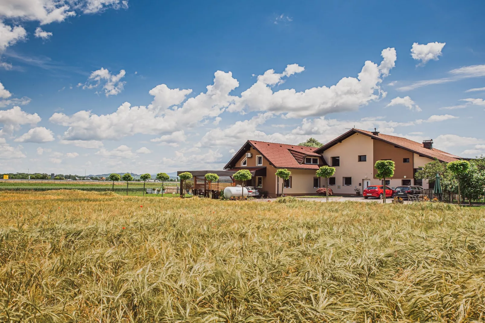 Elegant and Stylish Retreat Apartments with Terrace - Studio Apartment with Terrace-Buitenlucht