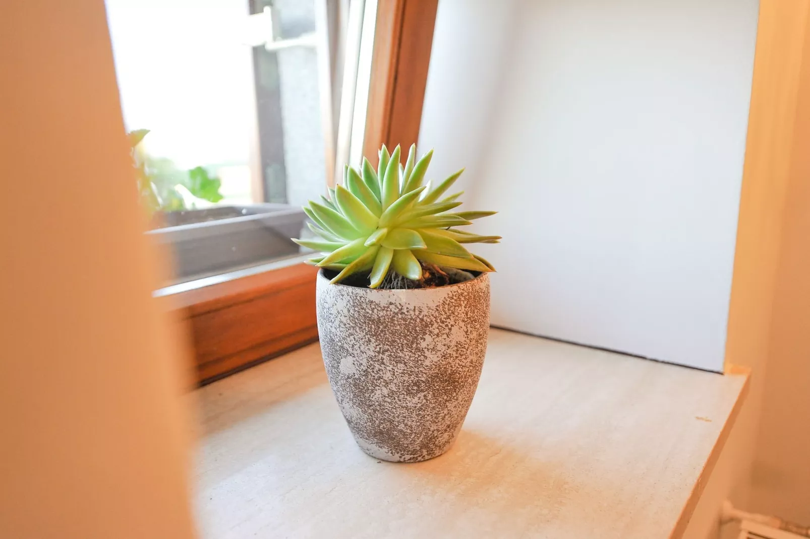 Relax and Rustic Apartments with Terrace - Classic One Bedroom Apartment with Terrace (owner Silvester)-Binnen