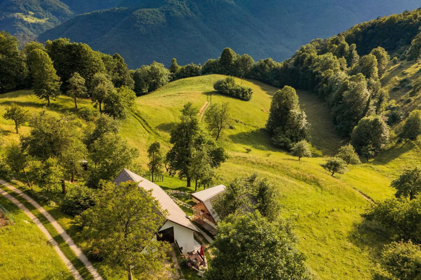 Nature Hideaway Holiday Homes with Sauna - Two Bedroom Holiday Home (owner Liza)-Uitzicht