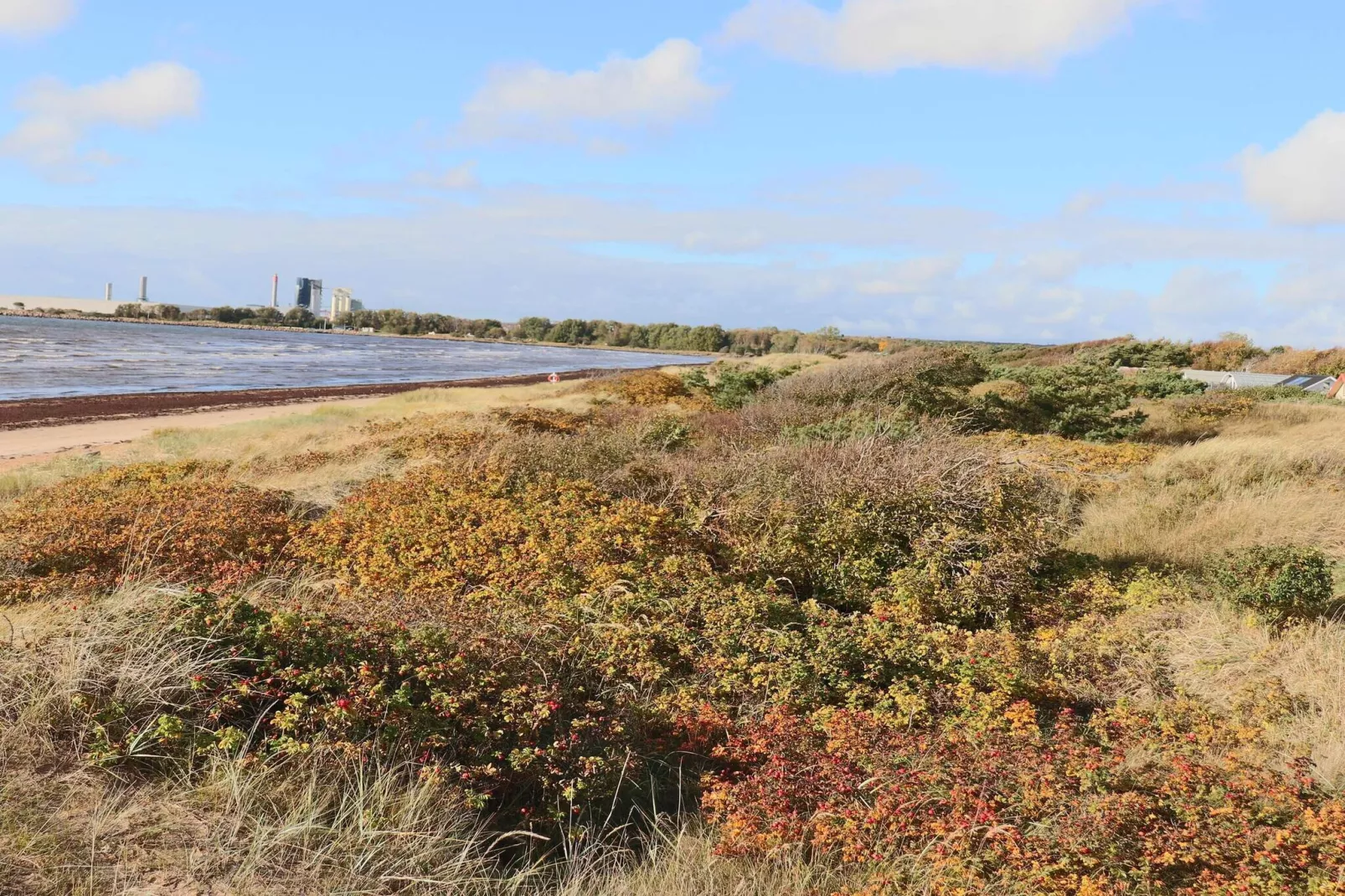 4 sterren vakantie huis in HALMSTAD-Niet-getagd
