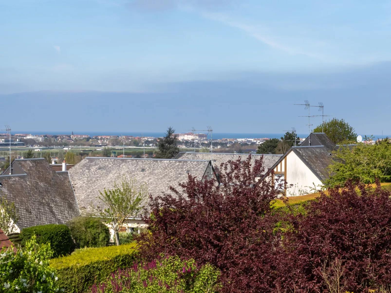 Les Jonquilles-Buiten