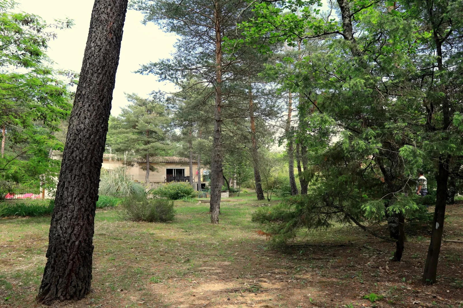 Villa Borie-Uitzicht zomer