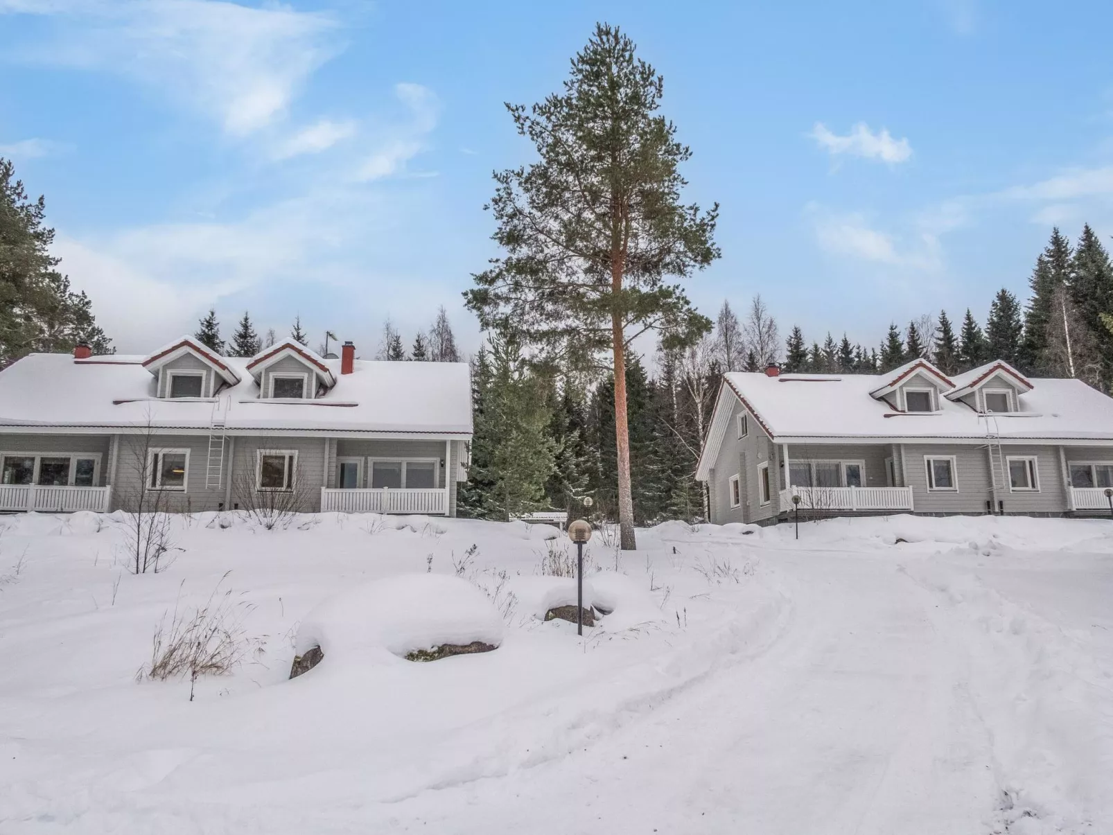 Vuokatti villas ilves-Binnen