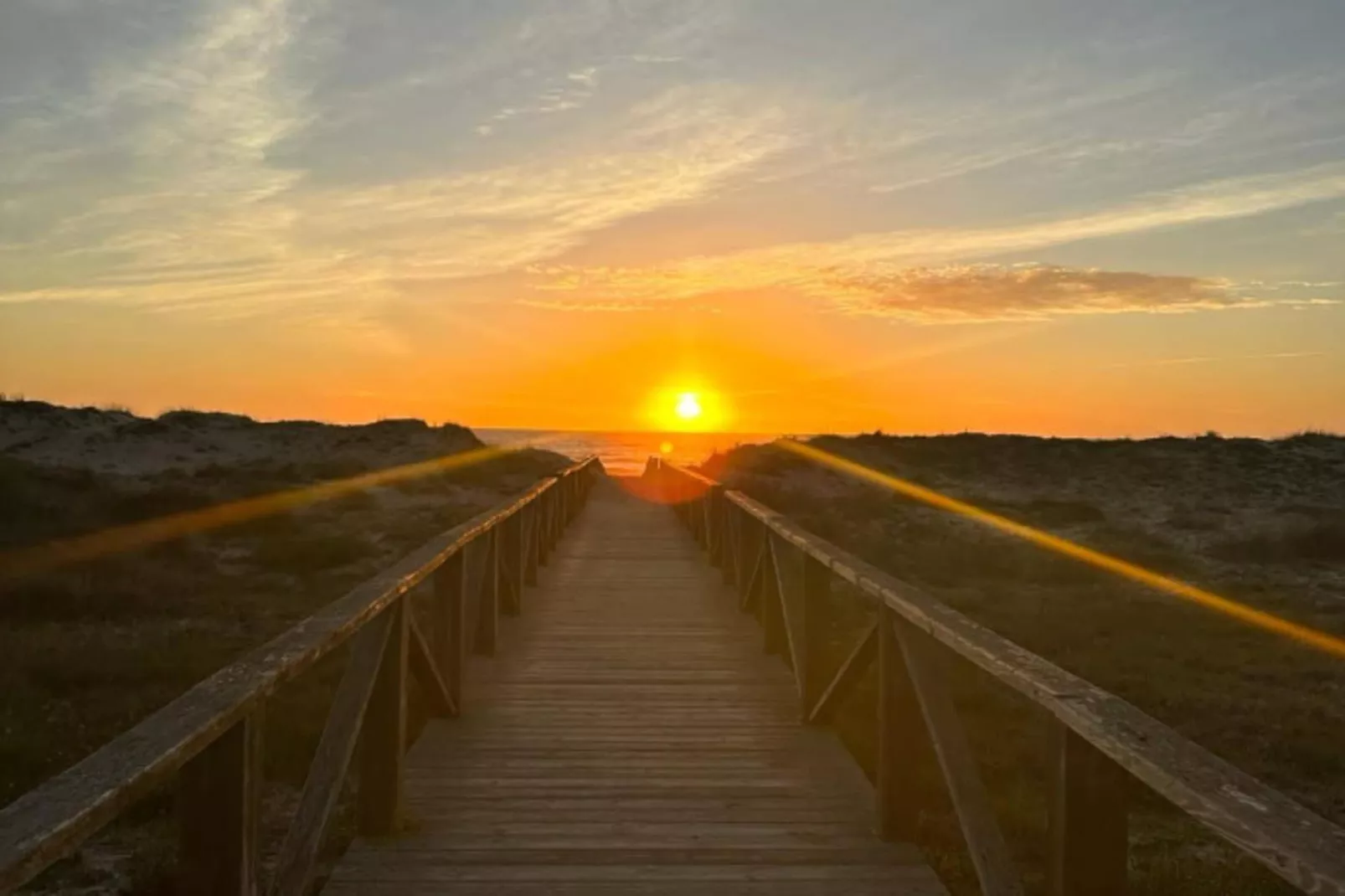 1780-+34636792434-Gebieden zomer 1km