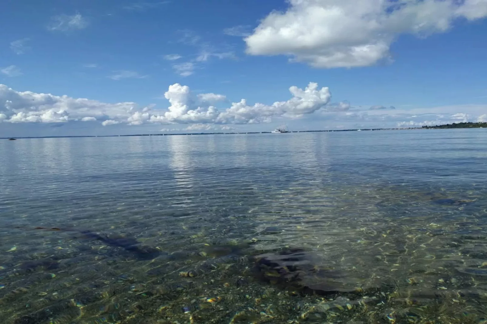 Sfeervol Havenhuisje-By Traum-Waterzicht