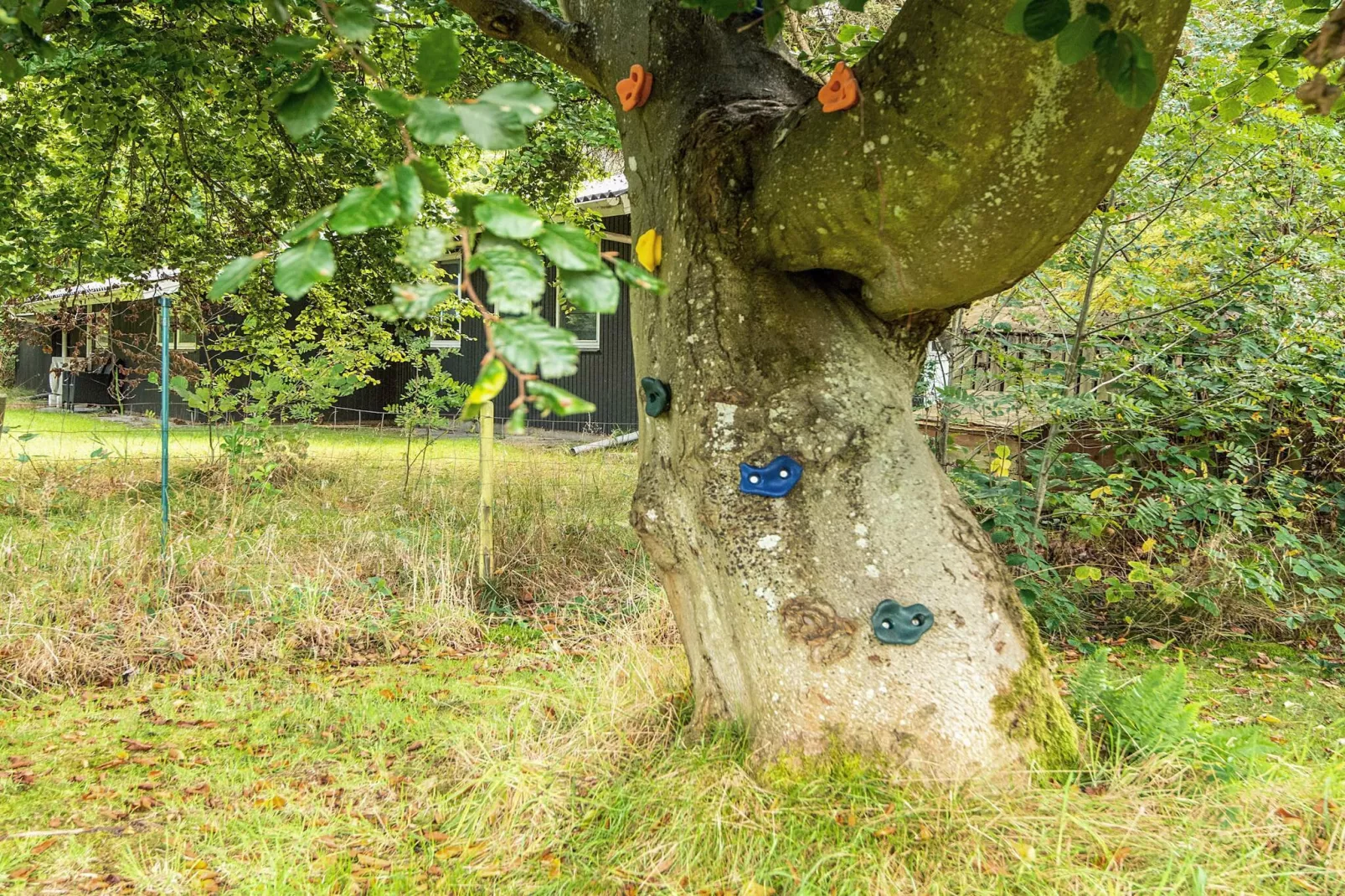 8 persoons vakantie huis in Ørsted-By Traum-Uitzicht