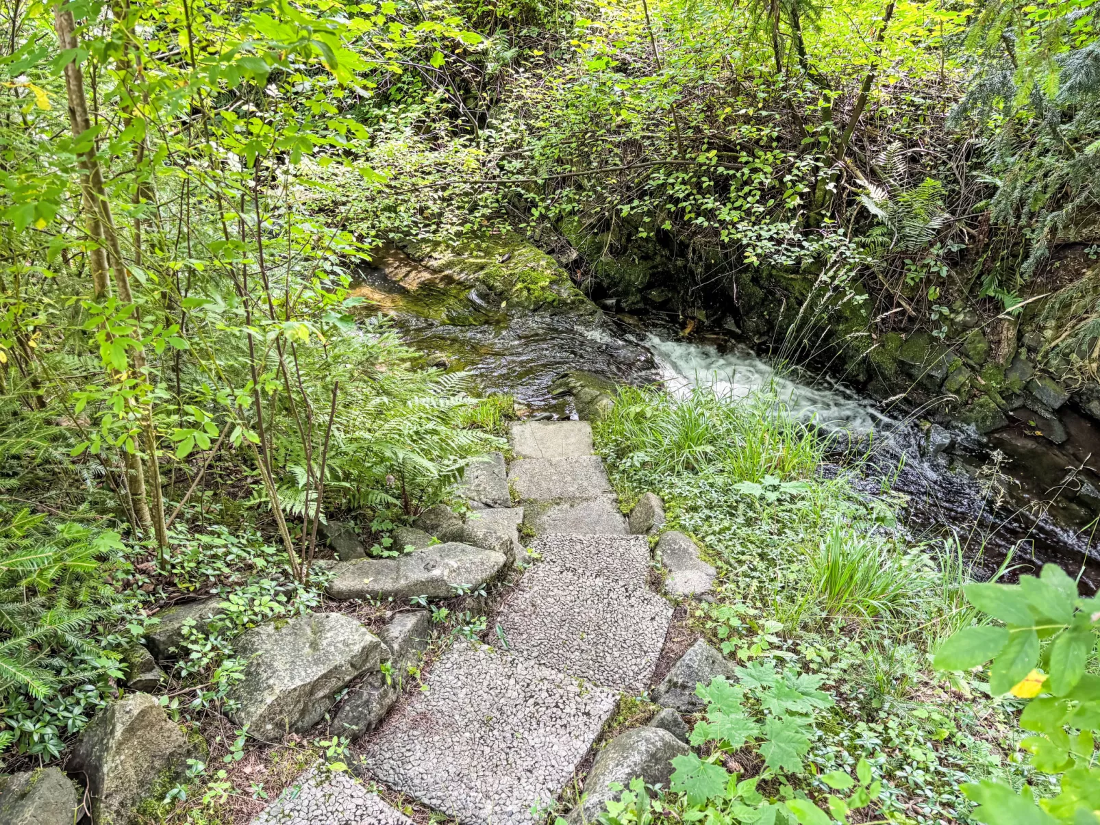 Altes Forsthaus Sösetal-Buiten