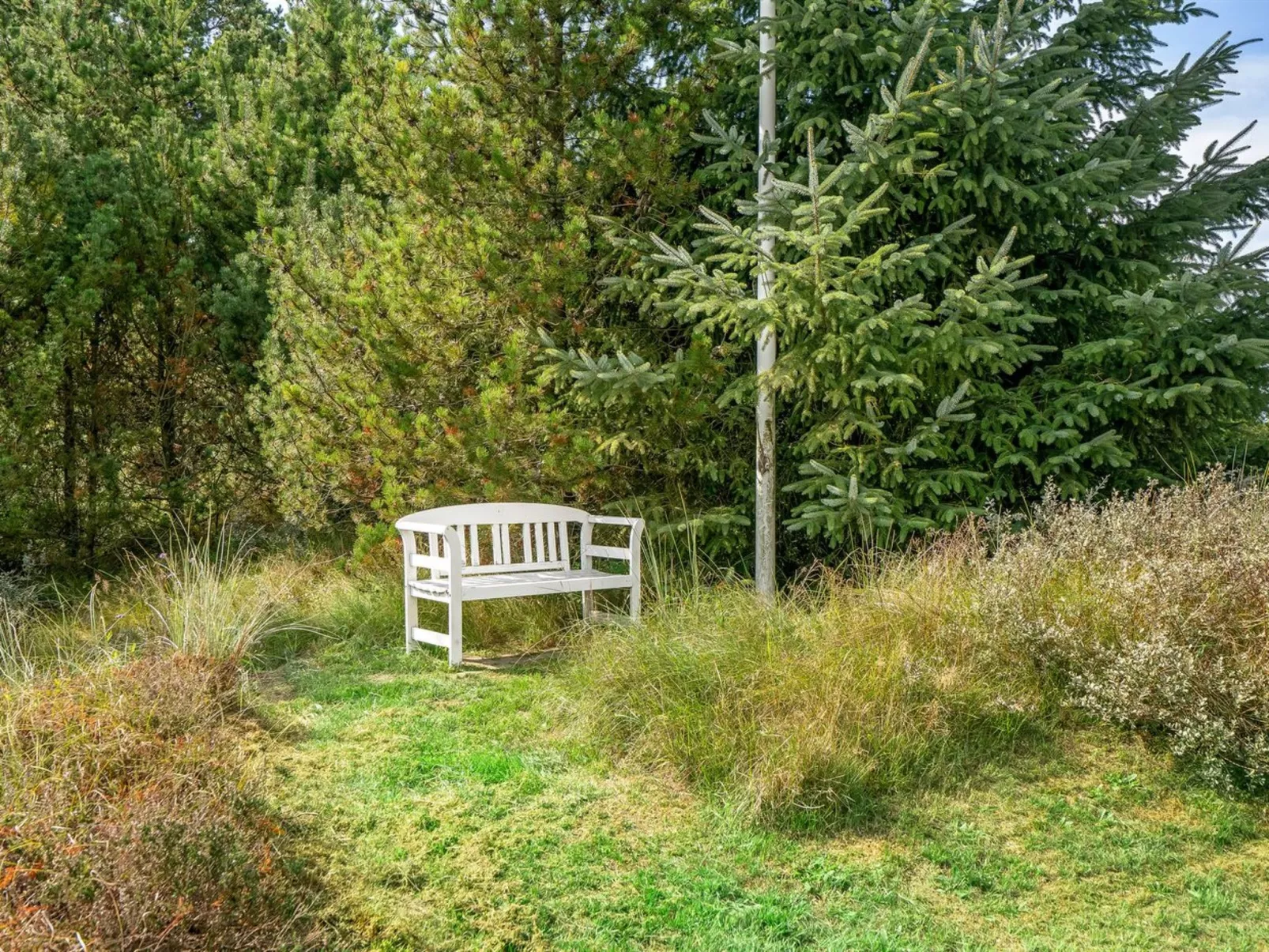 "Wale" - 3.3km from the sea-Buiten