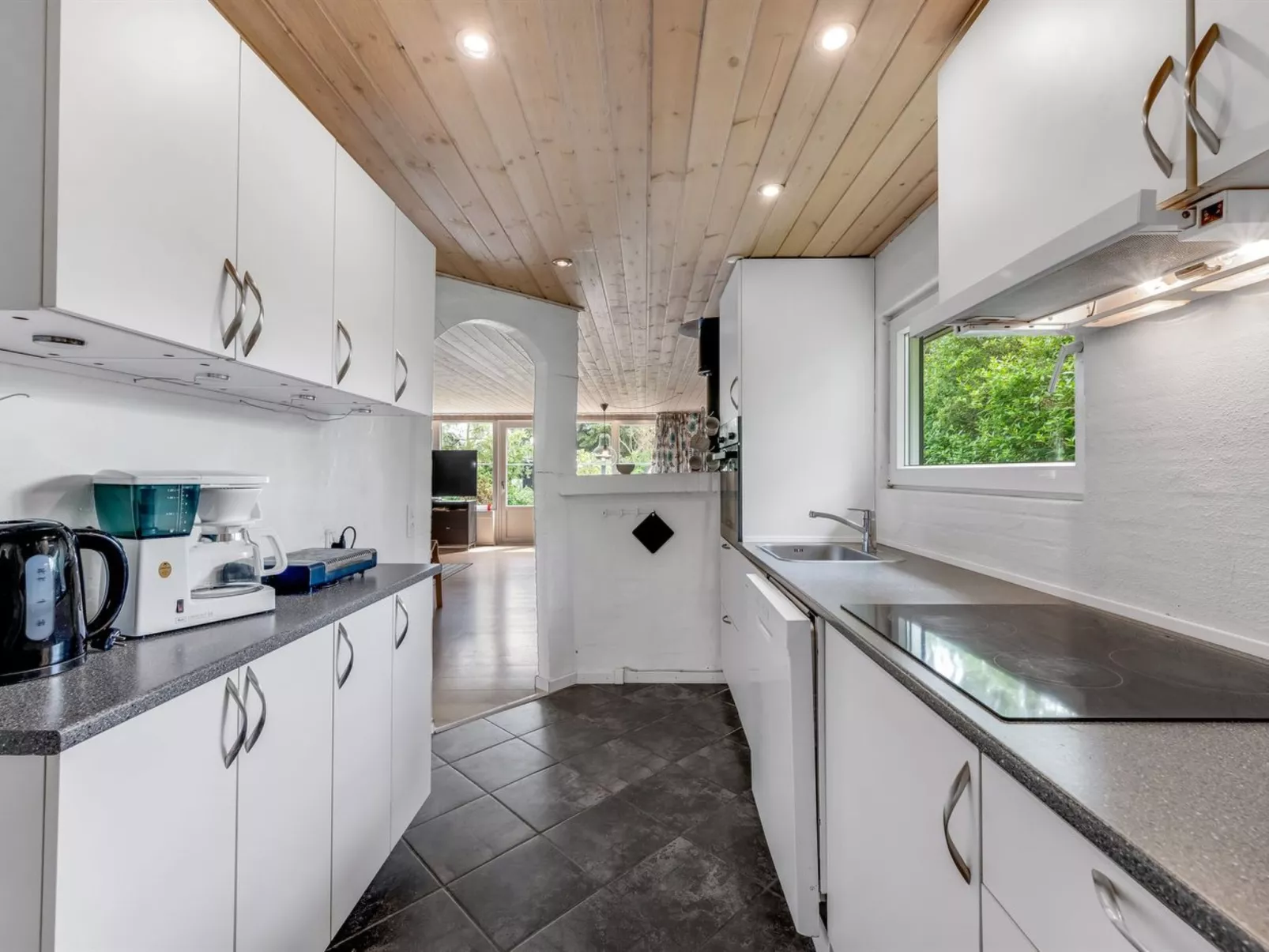 "Ludvig" -  from the sea-Binnen