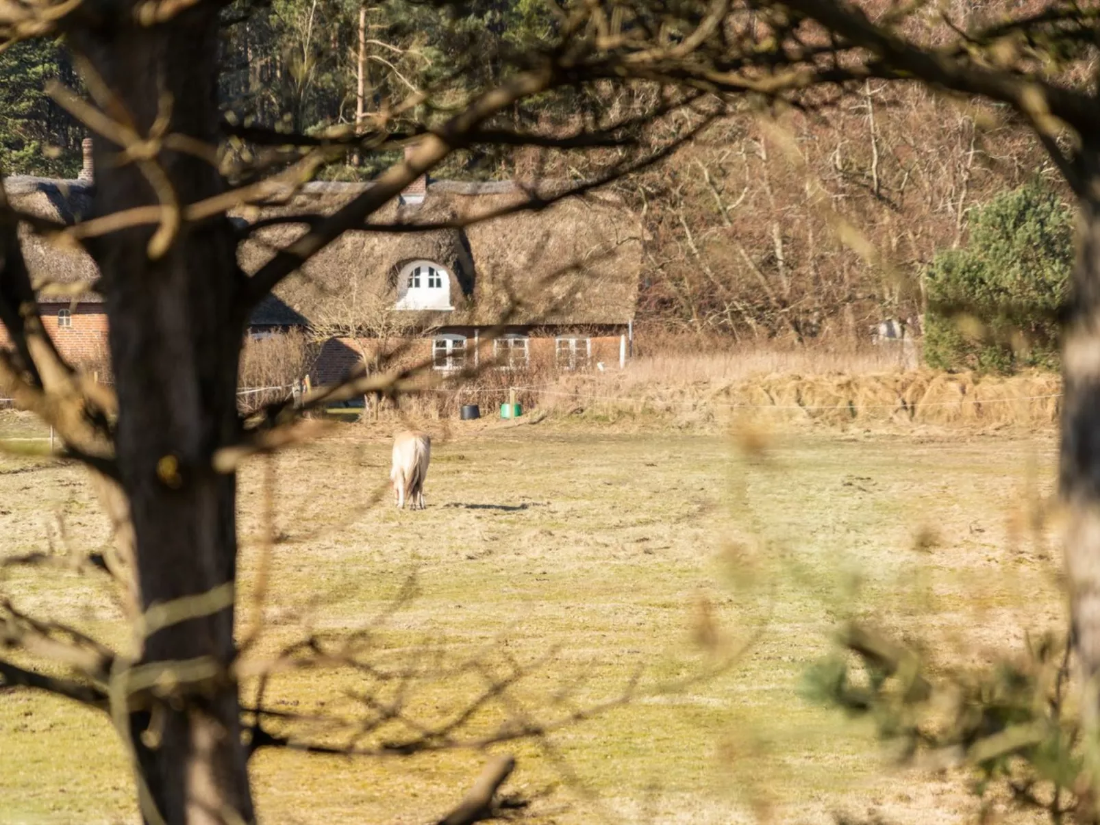 "Tine" - 2.3km from the sea-Buiten