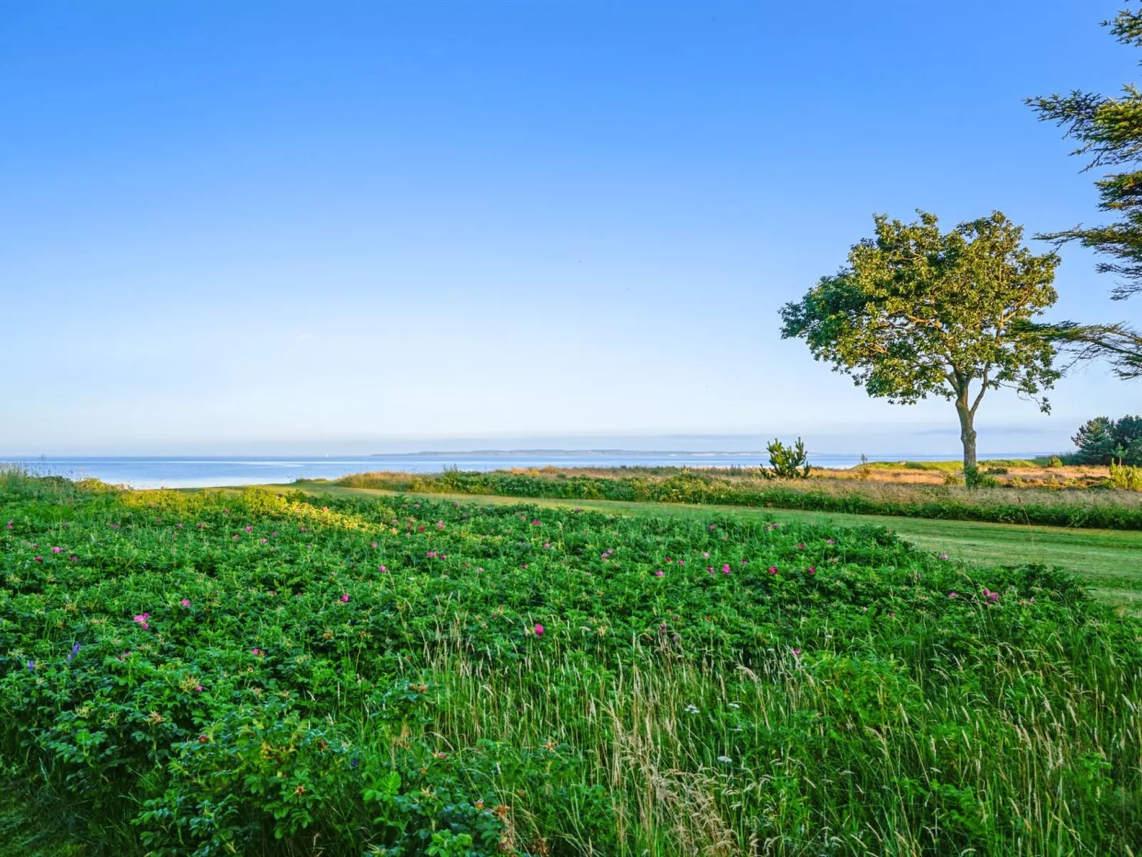 "Sebastian" - 100m to the fjord-Buiten